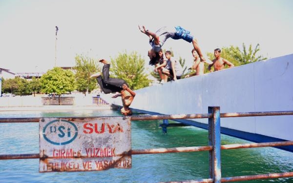 Tehlikeye aldırış etmeden bu kez de ağaçlara çıkıp sulama kanalına atladılar
