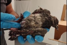 TMO silolarındaki patlamada yaralanan 12 kişiden 3ü taburcu oldu 2