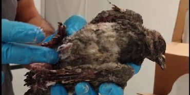 TMO silolarındaki patlamada yaralanan 12 kişiden 3ü taburcu oldu 2