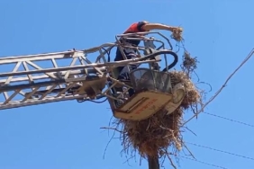 Tokatta ayağına ip dolanan yavru leylek kurtarıldı