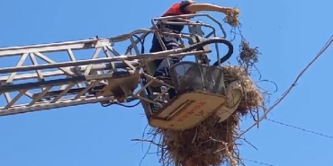 Tokatta ayağına ip dolanan yavru leylek kurtarıldı