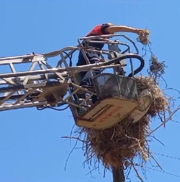 Tokatta ayağına ip dolanan yavru leylek kurtarıldı