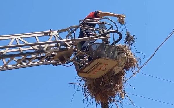 Tokatta ayağına ip dolanan yavru leylek kurtarıldı