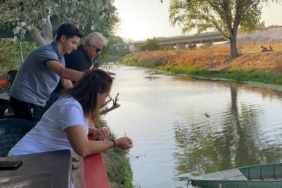 Tunca’nın su maymunları evcilleşti 31 Tuncanın su maymunları evcilleşti