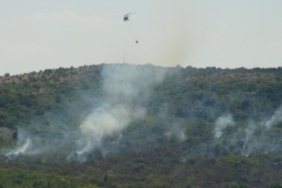 Türkiye- Bulgaristan sınırındaki ormanda yangın 2 Türkiye- Bulgaristan sınırındaki ormanda yangın