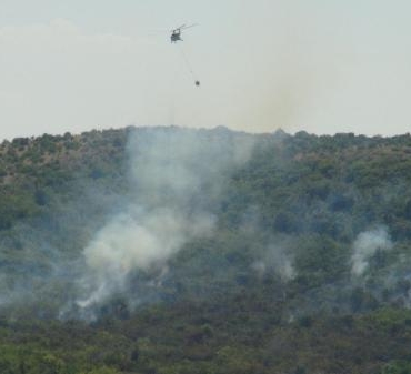Türkiye- Bulgaristan sınırındaki ormanda yangın
