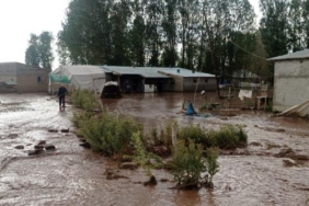 Vandaki dolu ve sağanak sele neden oldu