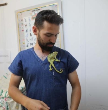 Yaralı bulunan bukalemun tedaviye alındı 2 Yaralı bulunan bukalemun tedaviye alındı