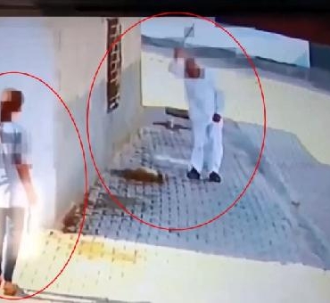 Yavru köpeği demir çubukla başına defalarca vurarak öldürdü