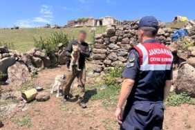 Yavru kurdu sosyal medyada satışa çıkaran kişiye 14 bin 386 lira ceza