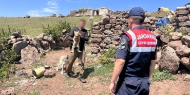 Yavru kurdu sosyal medyada satışa çıkaran kişiye 14 bin 386 lira ceza