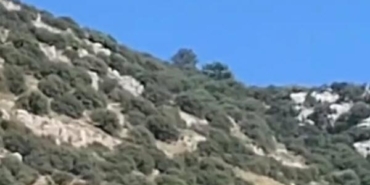 Yedek paraşüt hayatını kurtardı