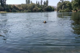 Yüzmek için Kızılırmak'a giren Çağrı, kayboldu (2) 14 Yüzmek için Kızılırmaka giren Çağrı kayboldu 2