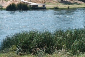 Yüzmek için Kızılırmak'a giren Çağrı, kayboldu 16 Yüzmek için Kızılırmaka giren Çağrı kayboldu