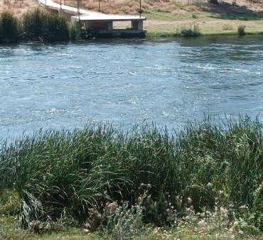 Yüzmek için Kızılırmak'a giren Çağrı, kayboldu 9 Yüzmek için Kızılırmaka giren Çağrı kayboldu