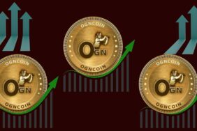 OGN COİN RALLİ YAPIYOR