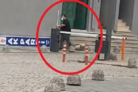 Başıboş köpekleri sürükleyerek toplayan belediye görevlilerine soruşturma