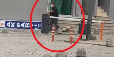 Başıboş köpekleri sürükleyerek toplayan belediye görevlilerine soruşturma