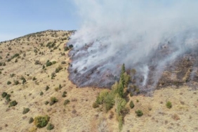 Sivas'ta otluk ve ağaçlık alanda çıkan yangına müdahale ediliyor
