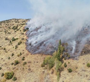 Sivas'ta otluk ve ağaçlık alanda çıkan yangına müdahale ediliyor