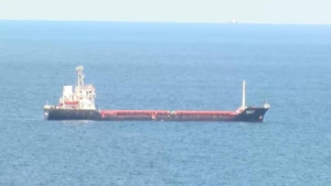 Ukrayna'dan yola çıkan tahıl gemisi İstanbul'a ulaştı- 1
