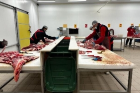 Ankara'da et ve süt ürünlerine denetim