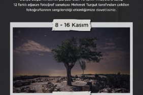 Akasya, ‘Sessiz Gözcüler’ fotoğraf sergisine ev sahipliği yapıyor