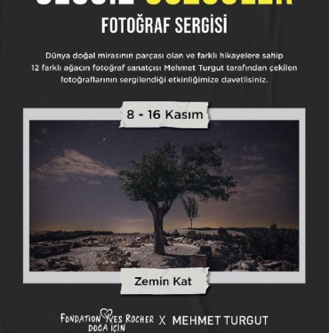 Akasya, ‘Sessiz Gözcüler’ fotoğraf sergisine ev sahipliği yapıyor