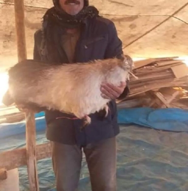 Diyarbakır'da çobana yıldırım isabet etti; ağır yaralı