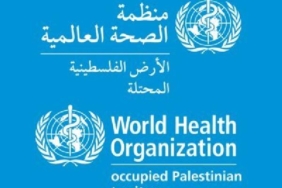 DSÖ Gazze’nin sağlık altyapısı ve hastaların durumunu değerlendirdi