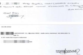 Seçil Erzan'dan ikinci ifade: Koluma serumlar takılarak bana 'bu işi banka dışında yaptın' diye söylettirdiler