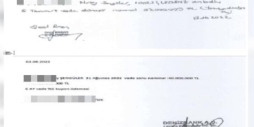 Seçil Erzan'dan ikinci ifade: Koluma serumlar takılarak bana 'bu işi banka dışında yaptın' diye söylettirdiler