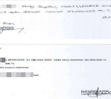 Seçil Erzan'dan ikinci ifade: Koluma serumlar takılarak bana 'bu işi banka dışında yaptın' diye söylettirdiler