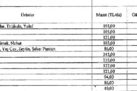 Tarımsal destek tebliği, Resmi Gazete'de