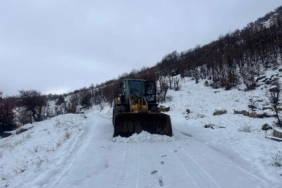 Diyarbakır'da kardan kapanan 22 mahalle yolu ulaşıma açıldı
