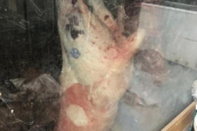 Site otoparkında kaçak kesim 1,5 ton et ele geçirildi 8 Site otoparkında kaçak kesim 1,5 ton et ele geçirildi