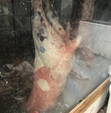 Site otoparkında kaçak kesim 1,5 ton et ele geçirildi