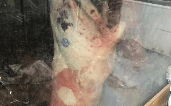 Site otoparkında kaçak kesim 1,5 ton et ele geçirildi