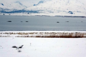 Van Gölü'nde flamingoların konakladığı alanlarda adacıklar oluştu 9 Van Gölü'nde flamingoların konakladığı alanlarda adacıklar oluştu