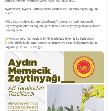 Aydın memecik zeytinyağı, AB'den coğrafi işaret tescili aldı