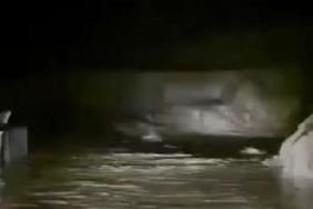 Diyarbakır'da dere taştı; ev ve ahırları su bastı (2) 6 Diyarbakır'da dere taştı; ev ve ahırları su bastı (2)