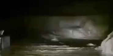 Diyarbakır'da dere taştı; ev ve ahırları su bastı (2) 9 Diyarbakır'da dere taştı; ev ve ahırları su bastı (2)