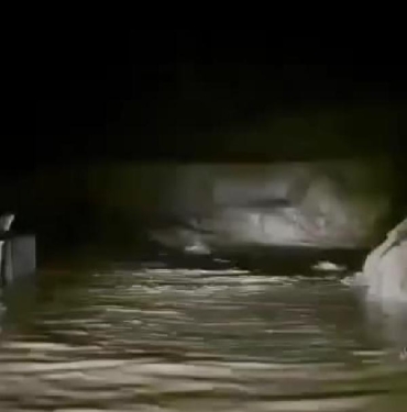 Diyarbakır'da dere taştı; ev ve ahırları su bastı (2)