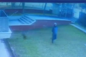 Saplantılı komşuya gözaltı (2) 18 Saplantılı komşuya gözaltı (2)