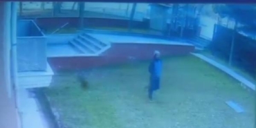 Saplantılı komşuya gözaltı (2)