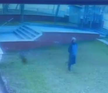 Saplantılı komşuya gözaltı (2)