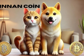Ginnan Coin (GINNAN): Dogecoin’in Kedi Kardeşi Geri Dönüyor! 3 Gınnan Coin