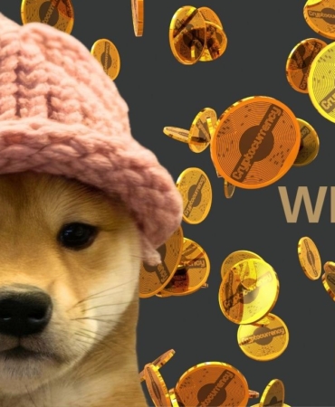 WIF Coin'in Son Yükselişi: $3 Direncine Göz Kırpan Gelişmeler ve Teknik Analiz 9 WIF Coin