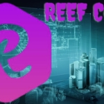 REEF Coin Yükselişi: DeFi Dünyasının Gözdesi mi Oluyor? Proje, Gelişmeler ve Potansiyel! 19 Reef Coin