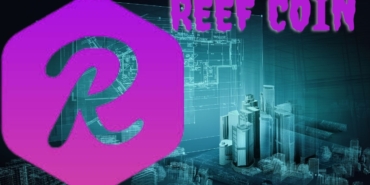REEF Coin Yükselişi: DeFi Dünyasının Gözdesi mi Oluyor? Proje, Gelişmeler ve Potansiyel! 10 Reef Coin